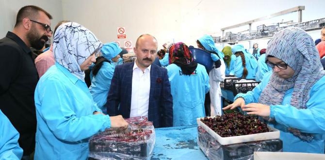 İLİMİZ KİRAZLARINI BİRÇOK ÜLKEYE İHRAÇ EDEN BEŞGÖZ SOĞUK HAVA DEPOSU VE TESİSLERİNDE İNCELEMELERDE BULUNULDU