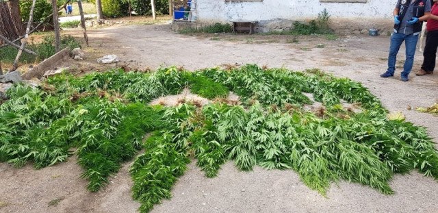 ZEHİR TACİRLERİNE SUÇÜSTÜ !!!