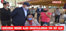 SERÇOBAN MESİRE ALANI AMASYALILARDAN TAM NOT ALDI
