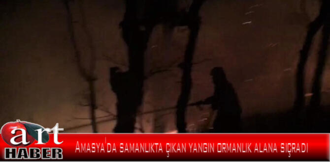 Amasya’da samanlıkta çıkan yangın ormanlık alana sıçradı