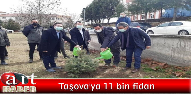 Taşova’ya 11 bin fidan