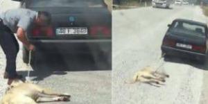 hayvanlar benim sessiz kullarımdır, şimdi zulme susuyorlar ama hesap günü konuşacaklar.