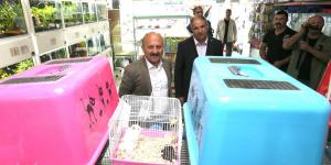 HER MEVSİMİ AYRI BİR GÜZEL OLAN AMASYA’NIN GÖNÜLLERİ HEP YAZ OLAN SICAK, SAMİMİ ESNAFLARINI ZİYARET ETTİK