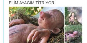 ”Kur’an Yırtan Kız” ve ”Domuzun Doğurduğu İnsan Yavrusu” Şeklinde Paylaşılan Fotoğraflar Heykel Çıktı