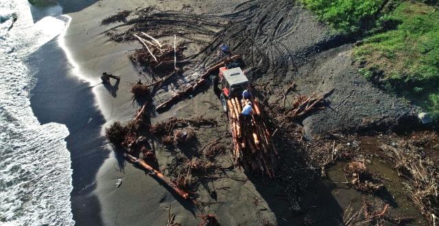 Selin Hayatı Felç Ettiği Ordu’da Vatandaşlar Kışlık Odununu Toplamak İçin Sahile Akın Etti
