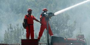 Ormanların Koruyucuları: “Alev Avcıları”