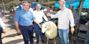 Vali Varol, Kurban Pazarını İnceledi
