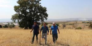 Koyun Otlattığı Çayıra Fabrika Kuracak