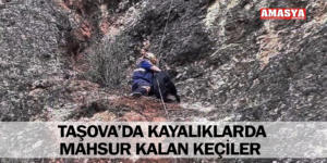 TAŞOVA’DA KAYALIKLARDA MAHSUR KALAN KEÇİLER