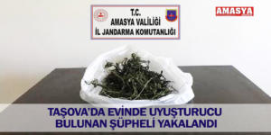 TAŞOVA’DA EVİNDE UYUŞTURUCU BULUNAN ŞÜPHELİ YAKALANDI