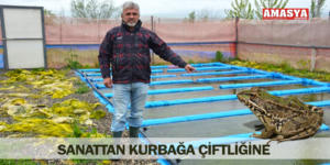 SANATTAN KURBAĞA ÇİFTLİĞİNE