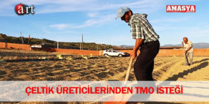 ÇELTİK ÜRETİCİLERİNDEN TMO İSTEĞİ