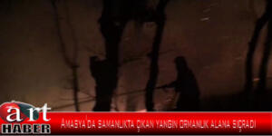 Amasya’da samanlıkta çıkan yangın ormanlık alana sıçradı