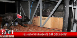 Hassas burunlu köpeklerle didik didik aradılar