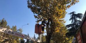 #amasya #tcamasyabelediyesi