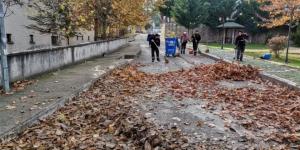BELEDİYE EKİPLERİNDEN SONBAHAR TEMİZLİĞİ